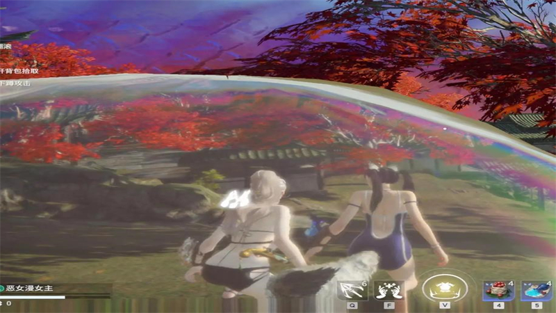 133.jpg