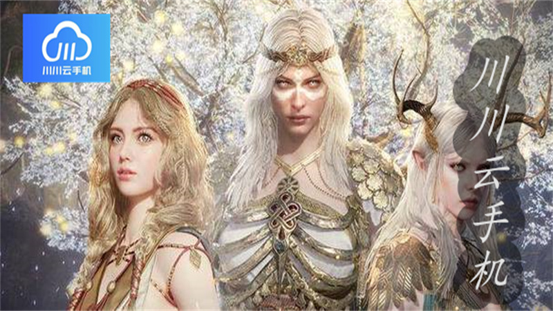 1762155736695.jpg 42.jpg