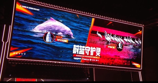 我的英雄就是招牌！巨型金克丝破界登陆上海西岸，陈都灵、常华森亮相lolm四周年庆典