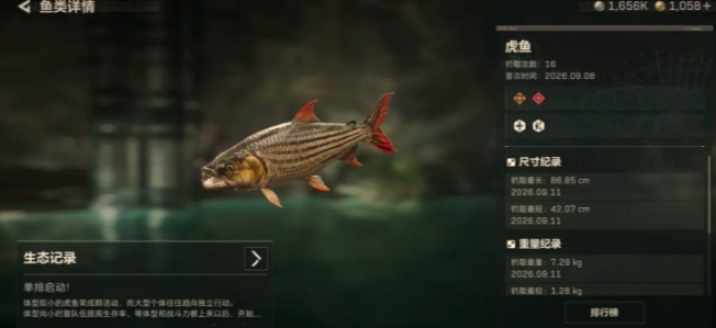 三角洲行动路亚竿金鱼轮怎么获得 超实用兑换攻略，快速拿到心仪渔具