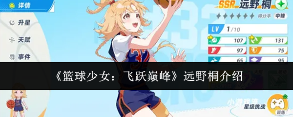 《篮球少女：飞跃巅峰》远野桐介绍
