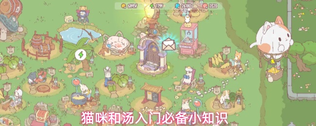 猫咪和汤入门必备小知识